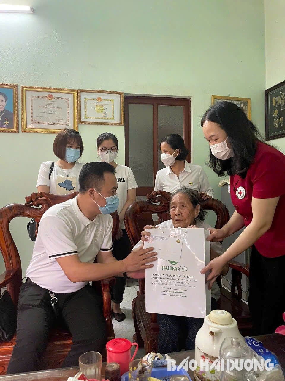 cong ty dược Hải Linh