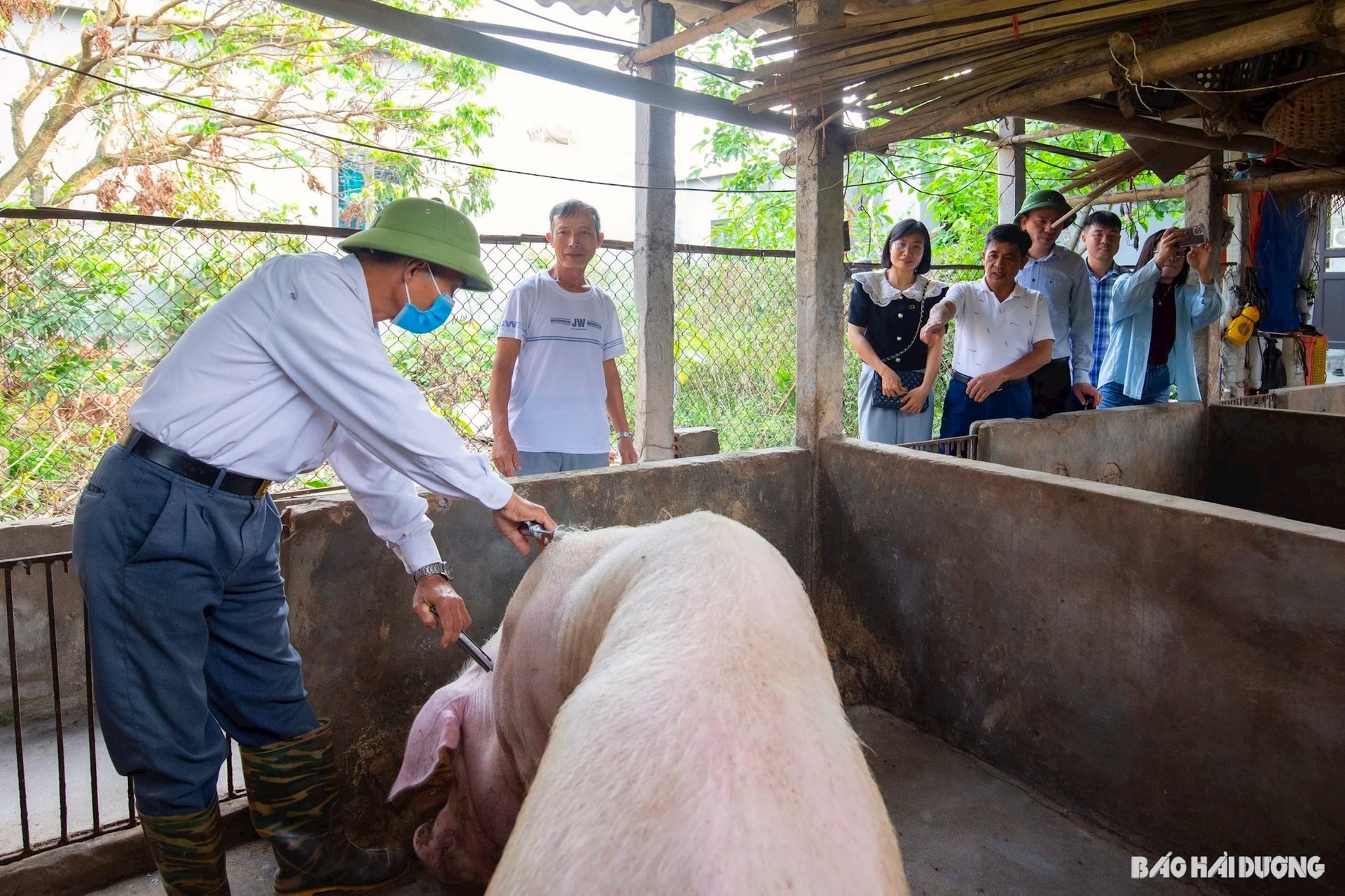 giam-sat-tiem-phong-dan-lon-vu-thu-huyen-ninh-giang(1).jpg