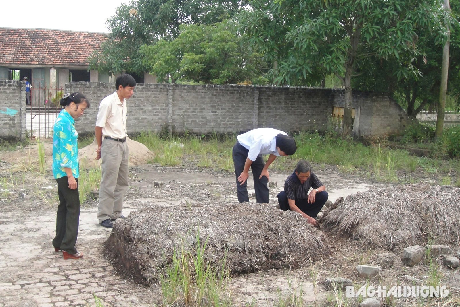 duong-tuan-hoan-cua-rom8b.jpg