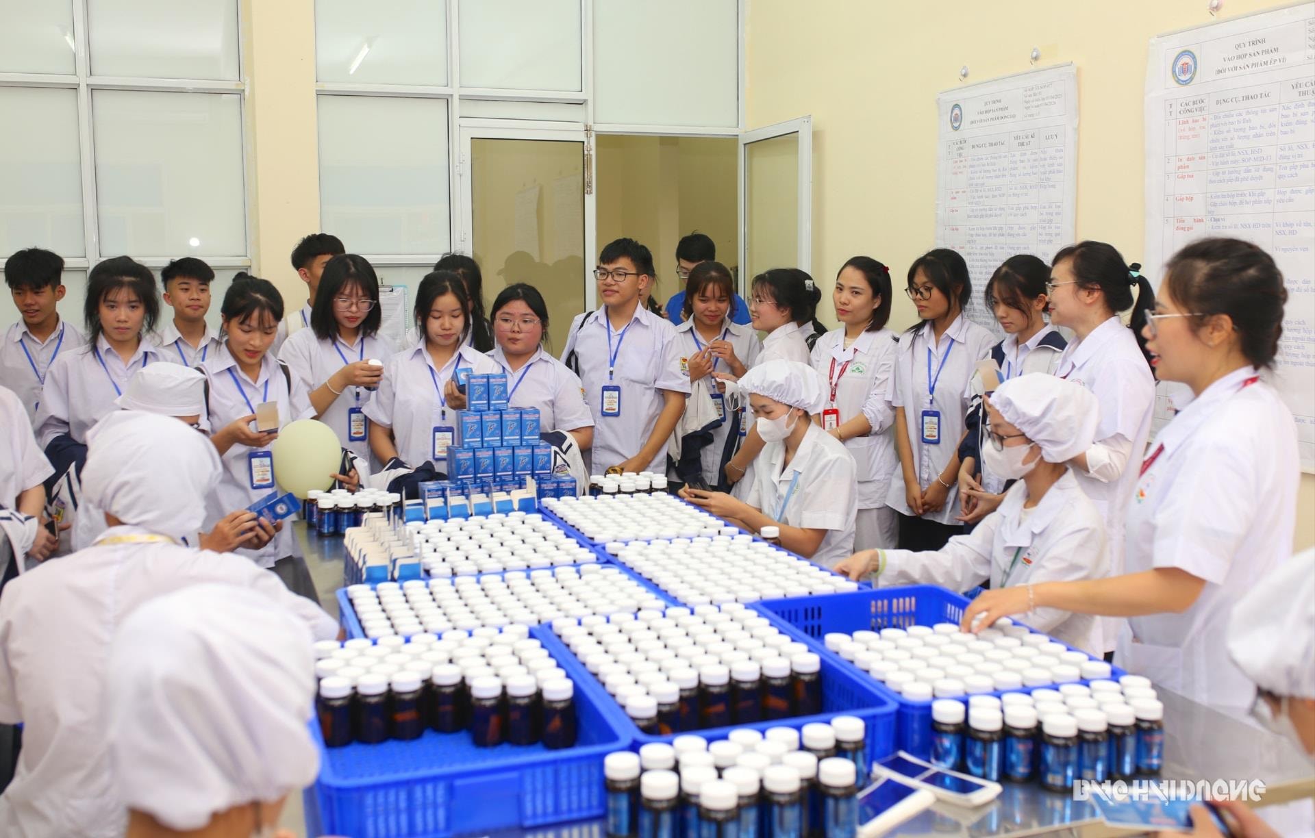 hoc-sinh-truong-thpt-ninh-giang-2(1).jpeg