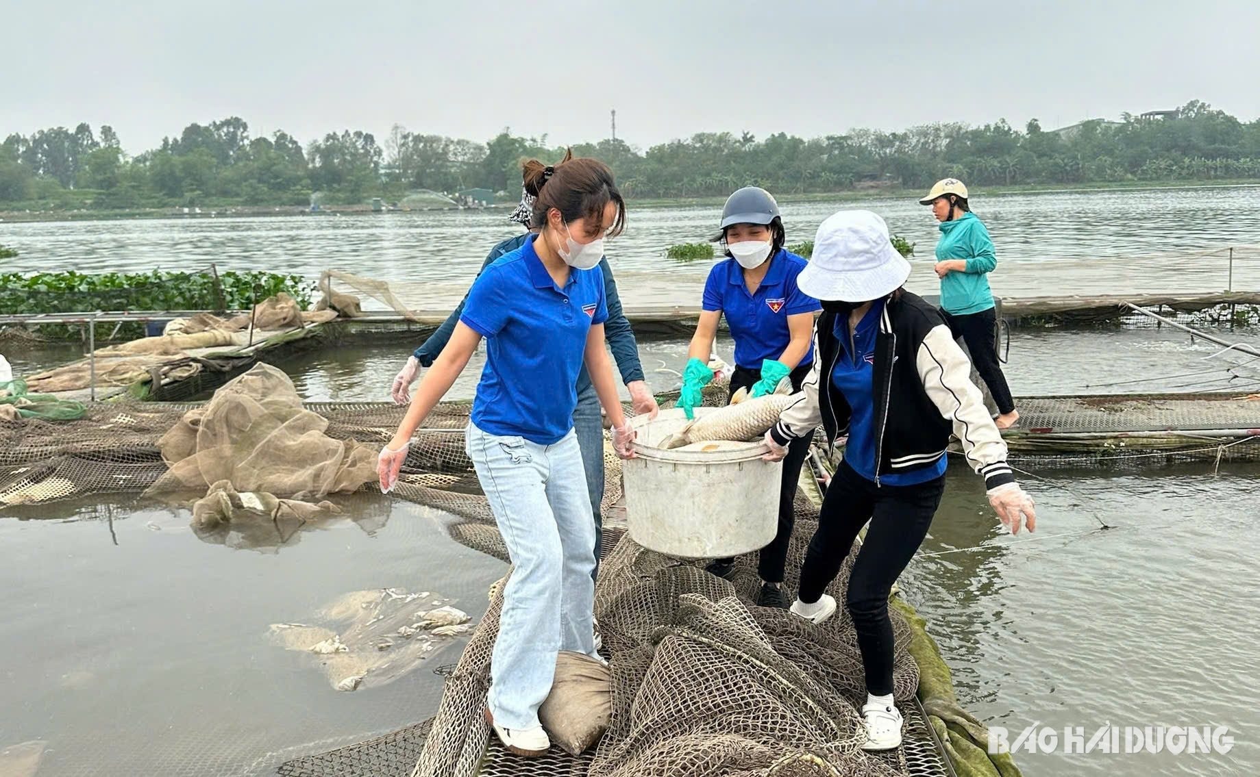 Chị Nguyễn Thị Minh Nguyệt, Bí thư Đoàn xã Ngọc Sơn (TP Hải Dương) tham gia hoạt động hỗ trợ nông dân