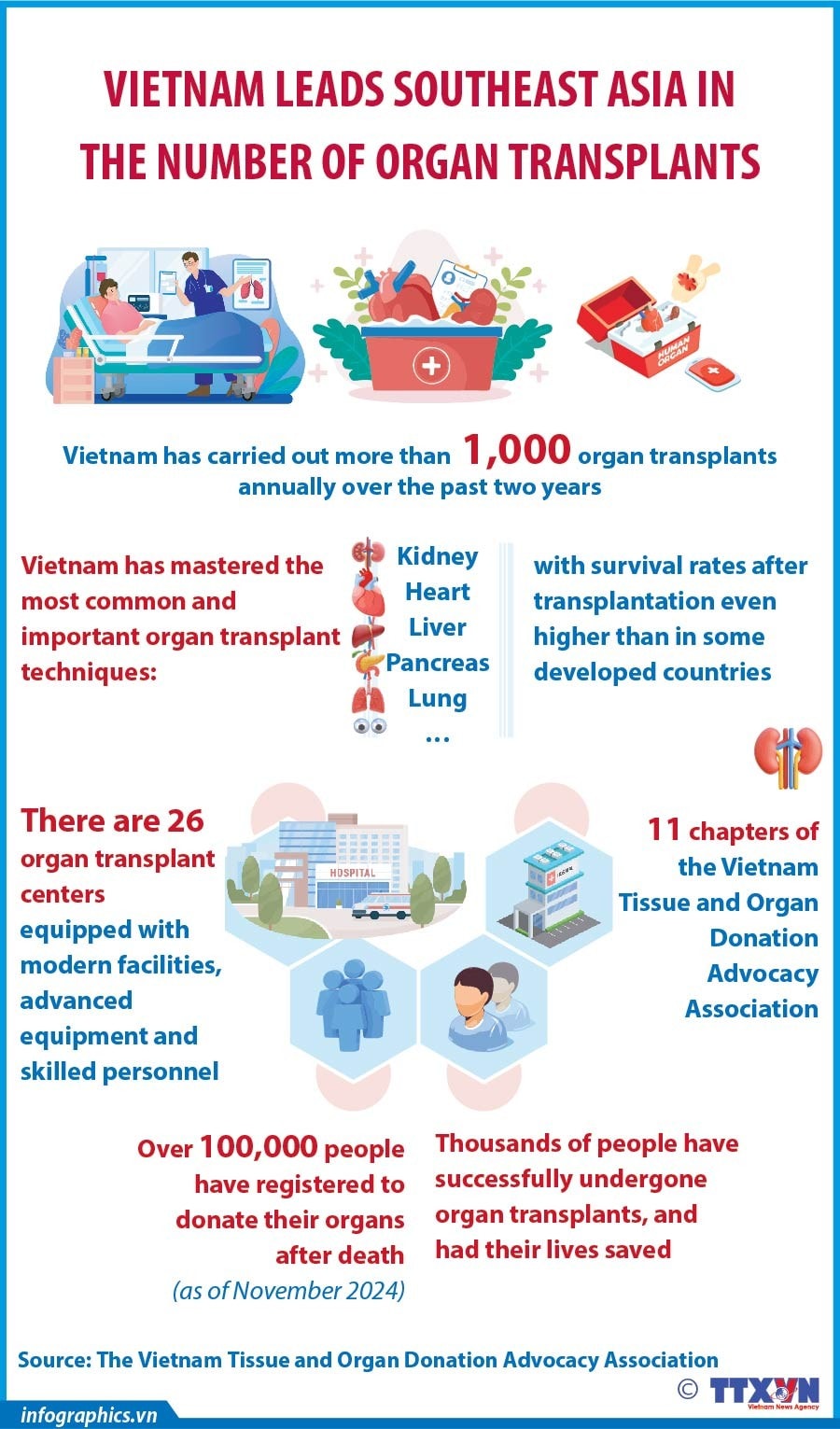 25112024-Vietnam leads Southeast Asia in the number of organ transplants_H84.jpg