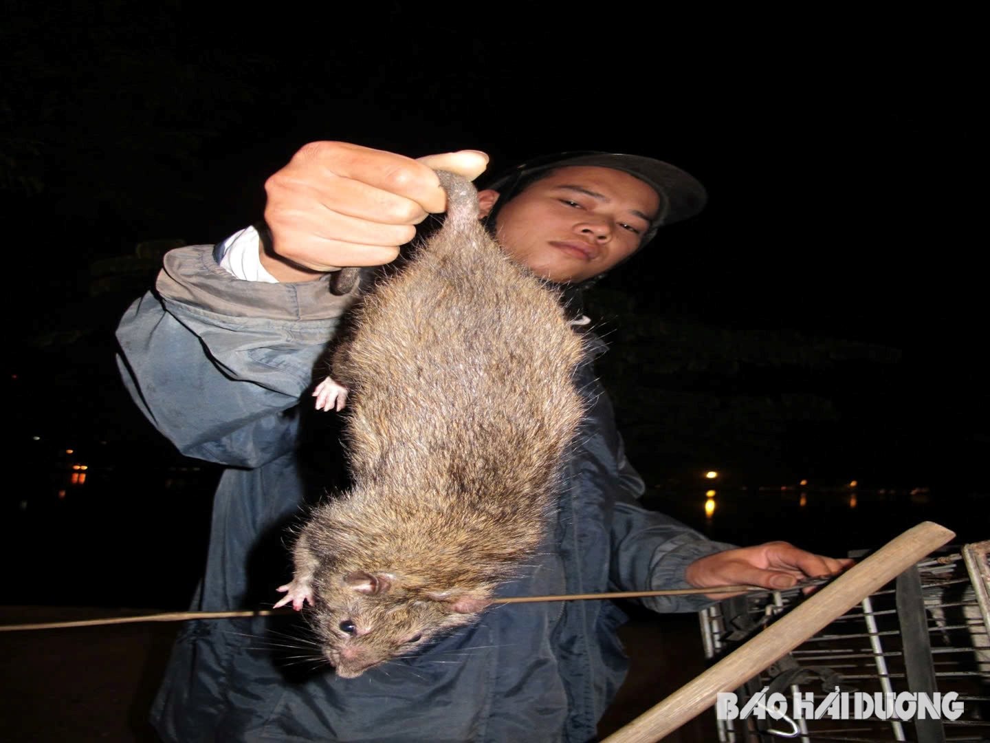 bai-tet-a-hoang-2.jpg