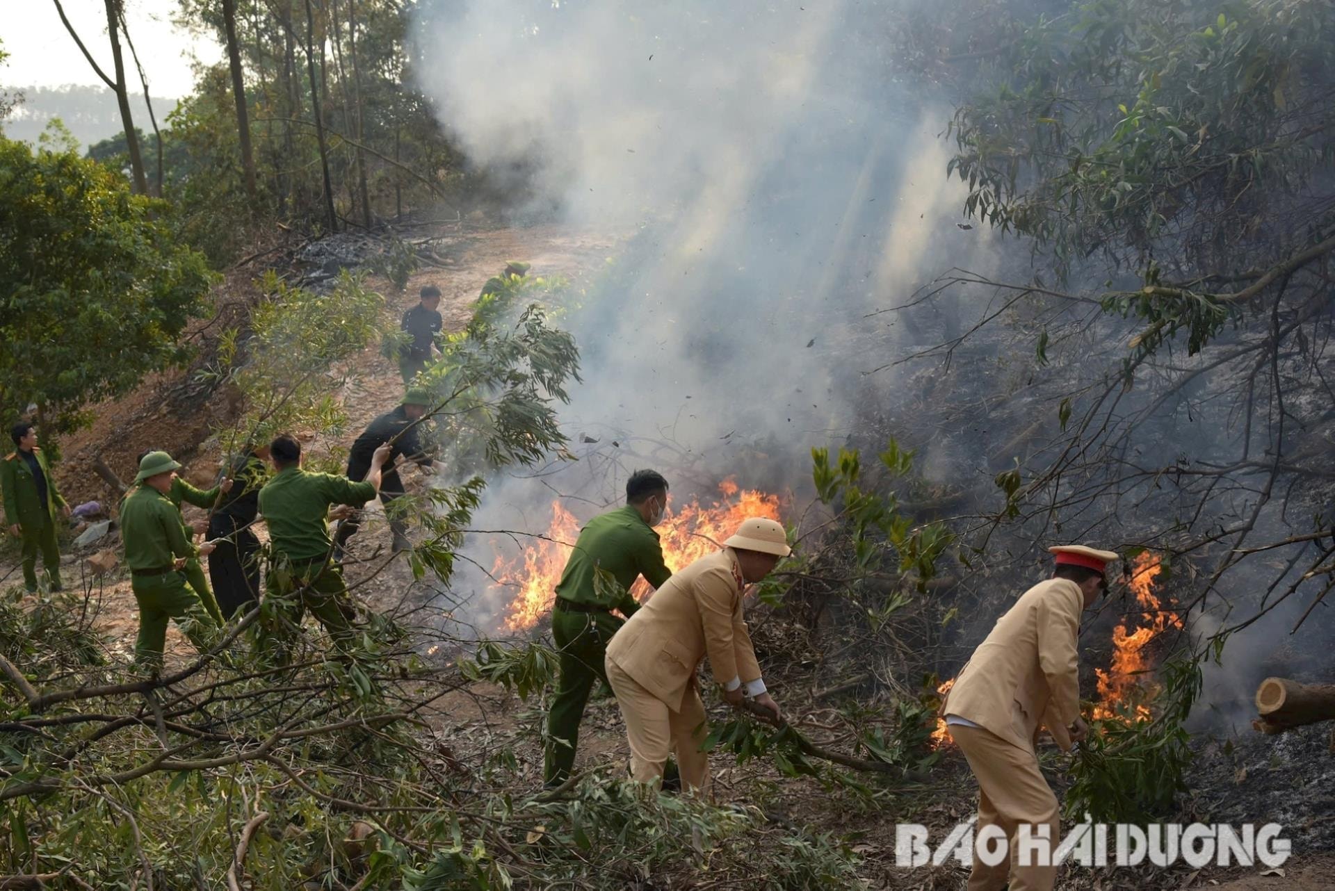 chi-linh-chua-chay-rung1-1-.jpg