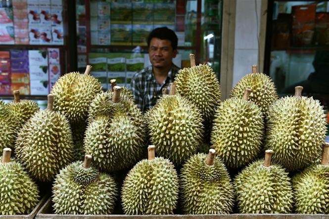 sau-rieng-duoc-bay-ban-tai-bangkok-thai-lan.jpg