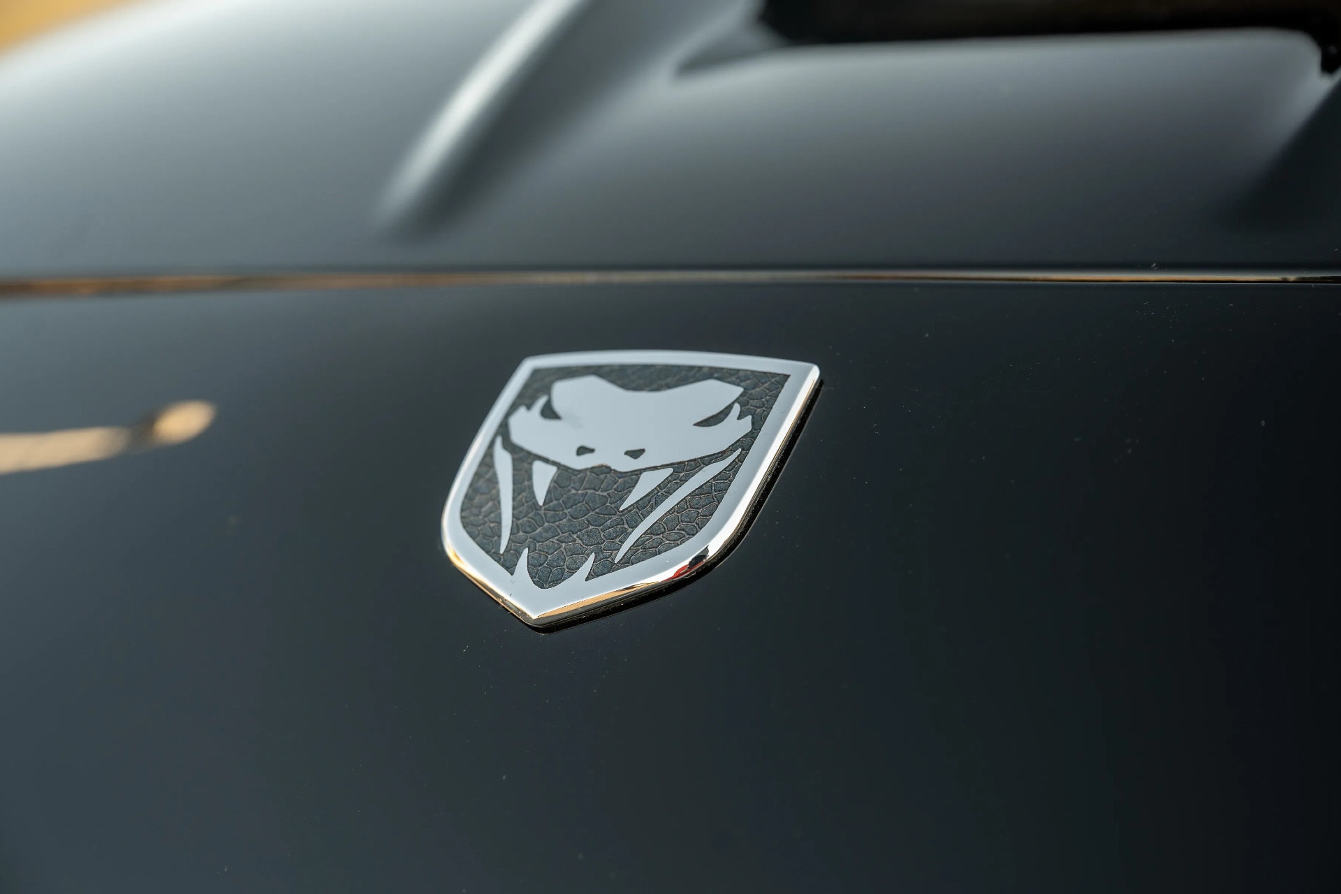 Dodge Viper 4.jpeg