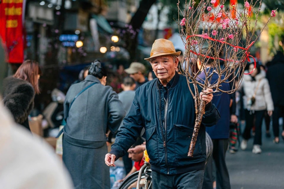 For many Hanoians, visiting Hang Luoc Market in Hanoi to buy Tet flowers is a cherished tradition as spring approaches. (Photo: Pham Tuan Anh – VNA)