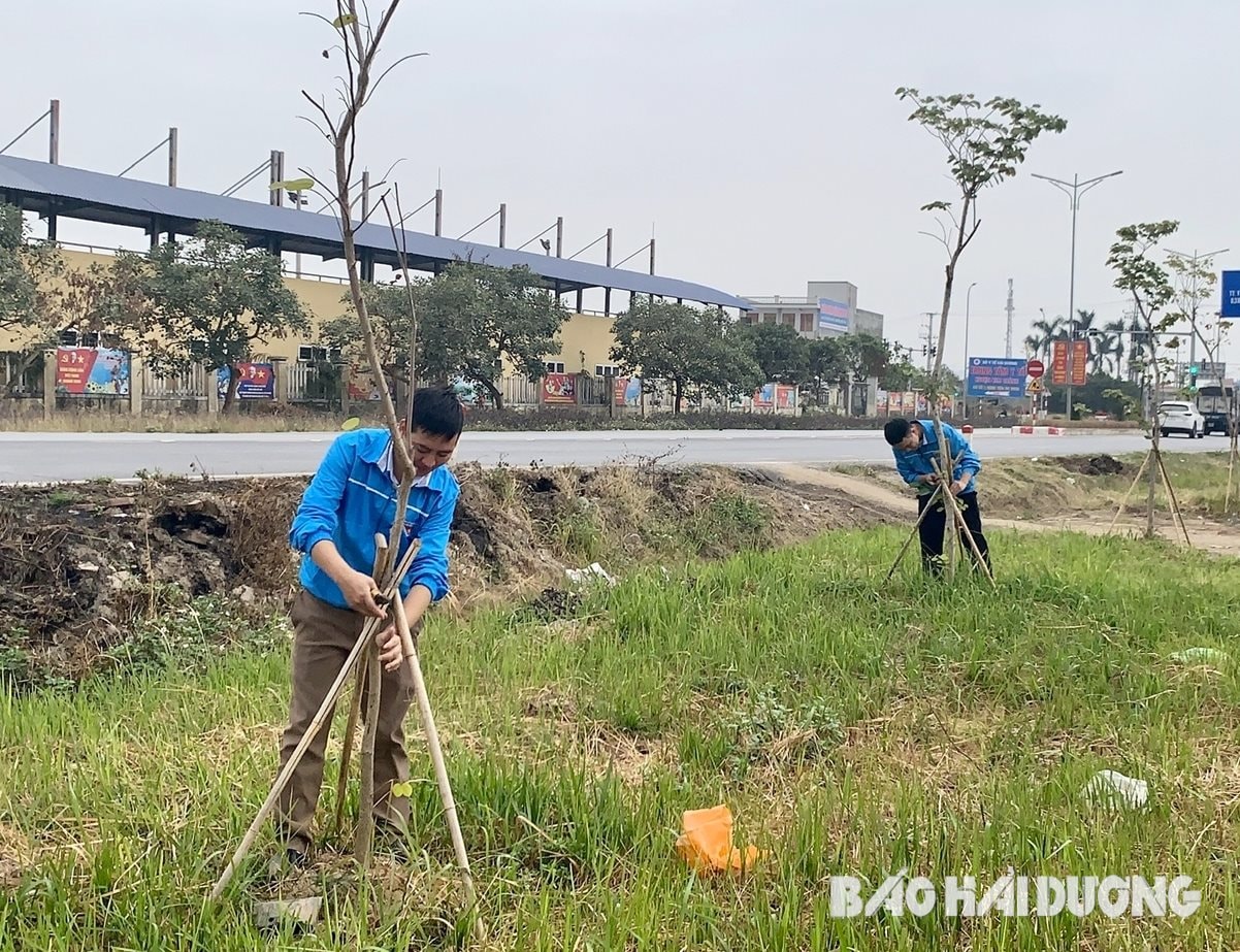 kim-thanh.jpg