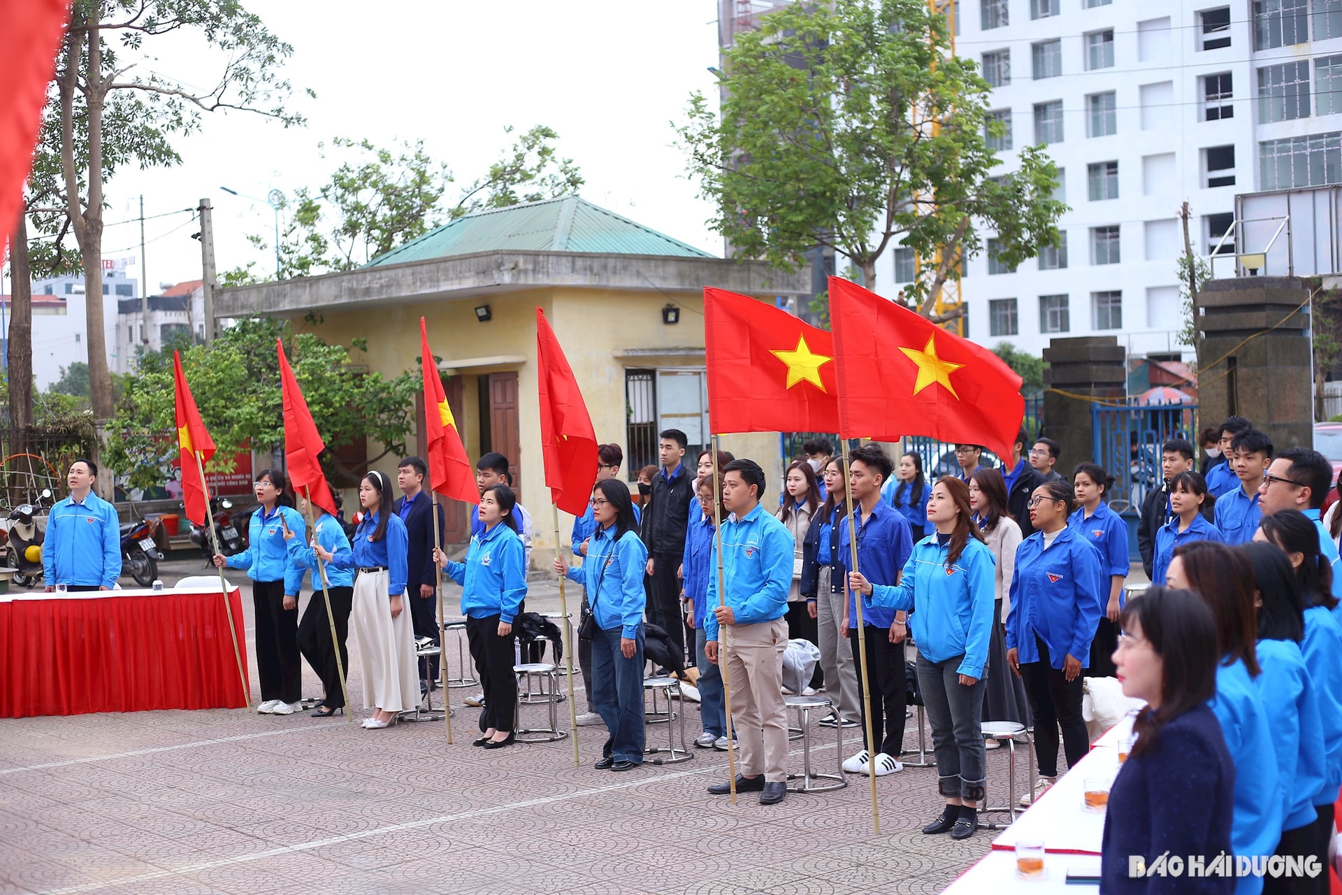 tet-trong-cay2.jpg