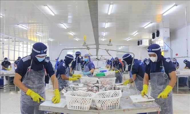 Workers at Cuu Long Fish JSC in An Giang province (Photo: VNA)