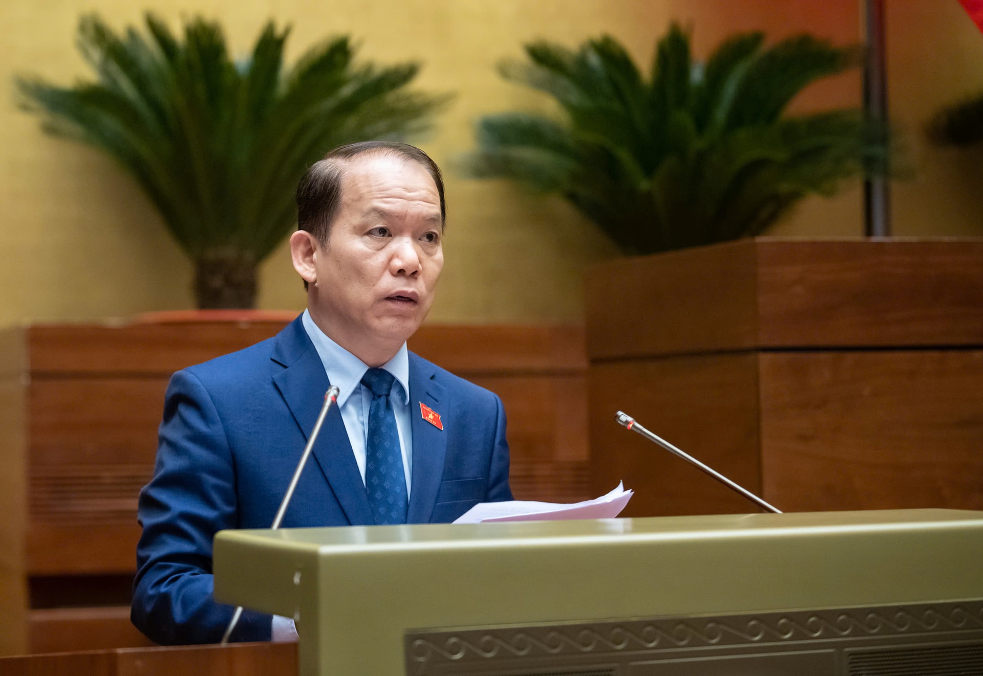 hoang-thanh-tung.jpg