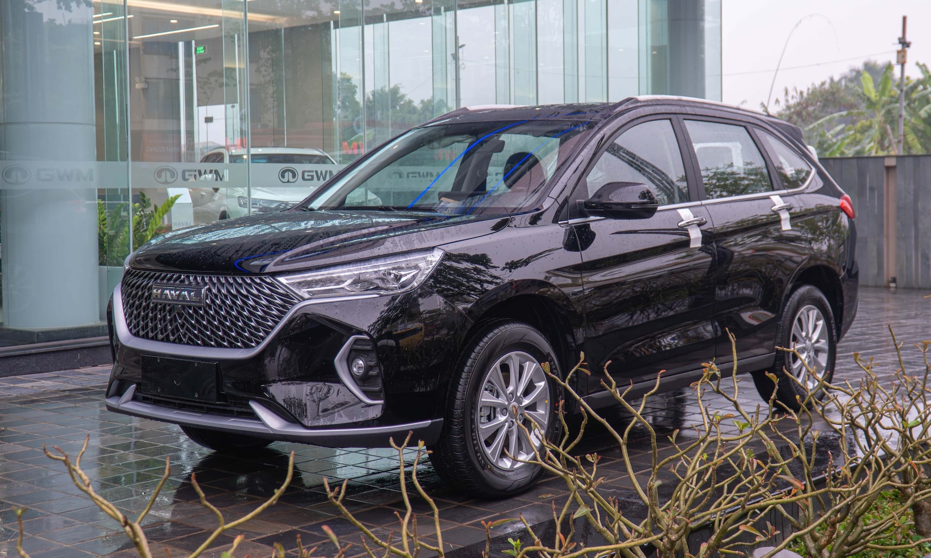 haval-m6.jpg