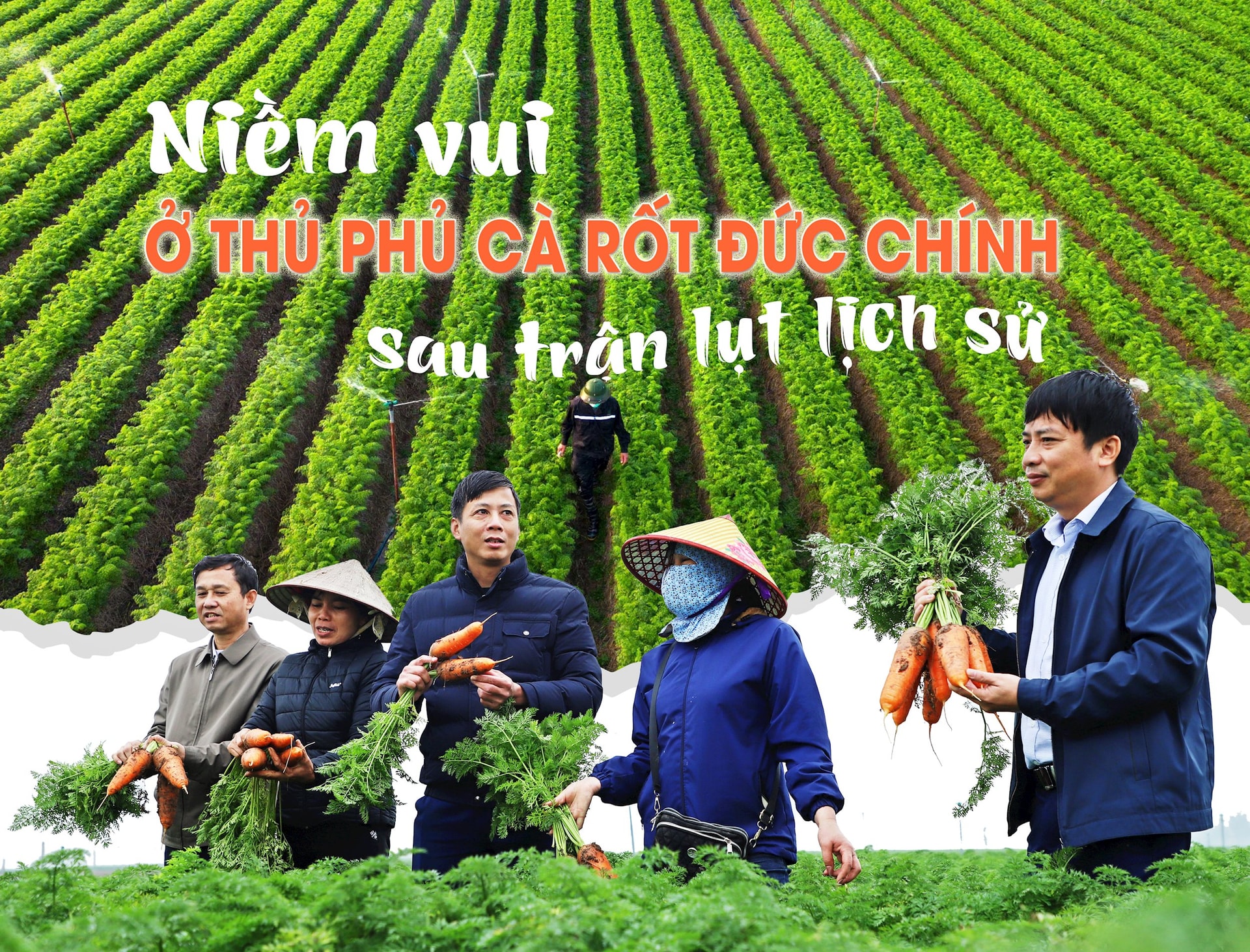 ca-rot-duc-chinh.jpg