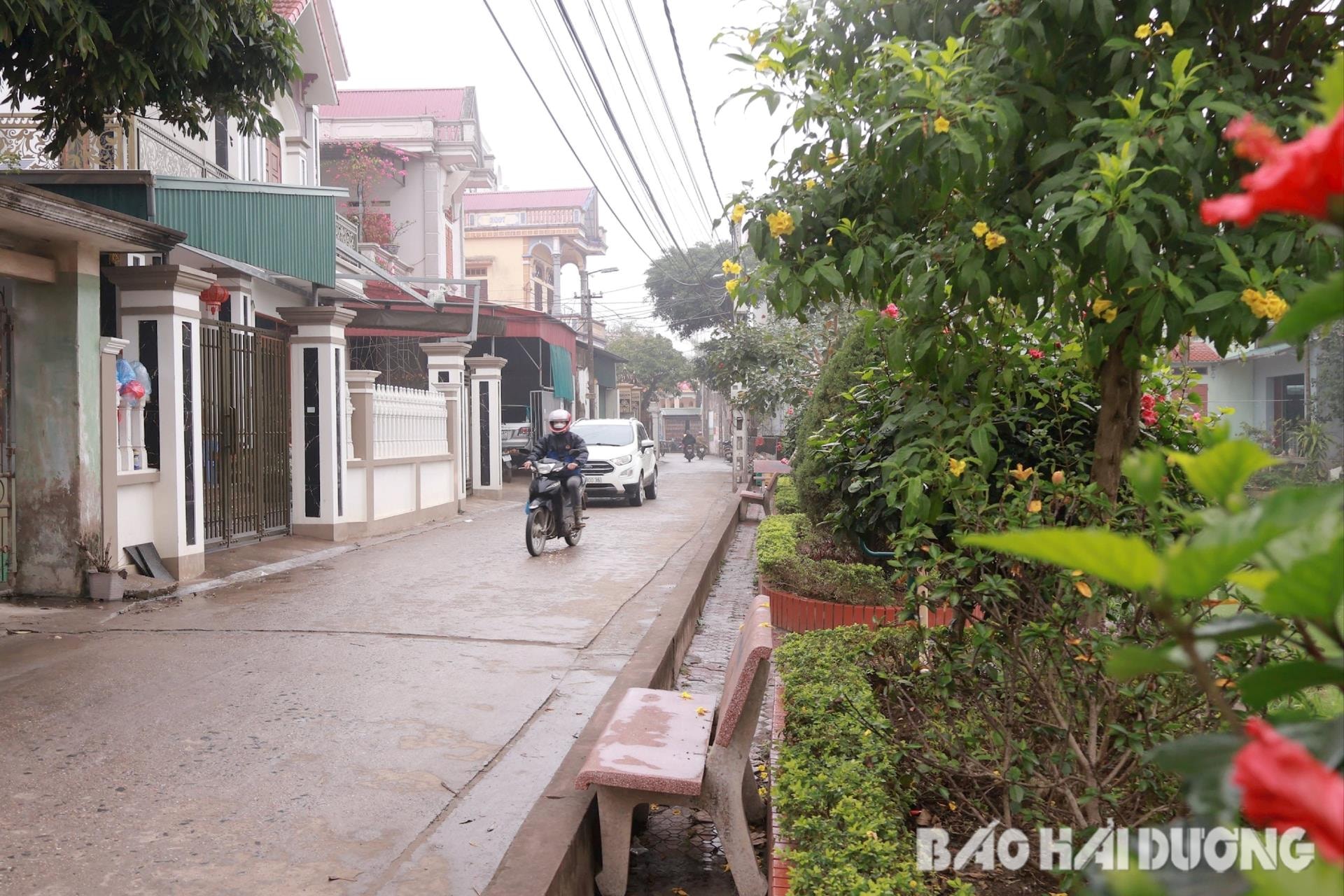 cam-giang-xay-dung-lang-xa-thong-minh-4-(1).jpg