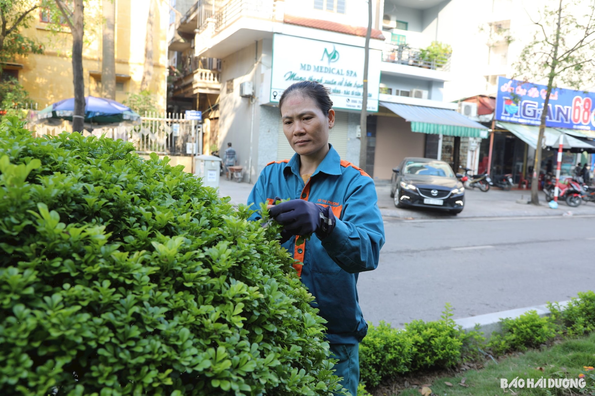chi-phuong.jpg