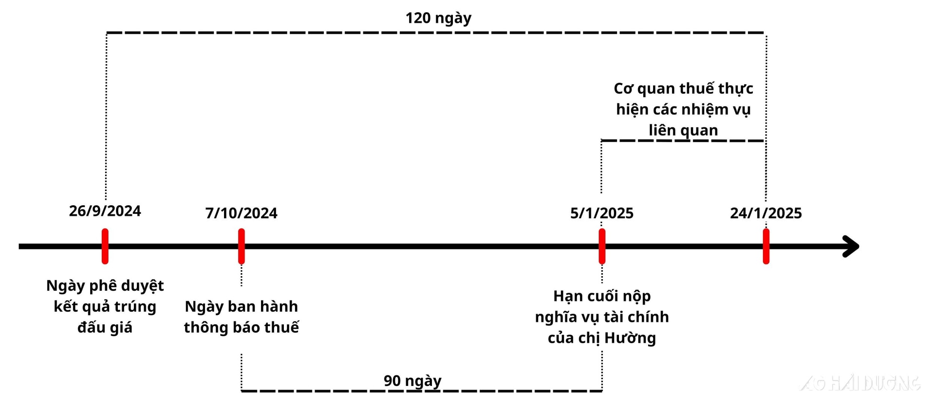 dau-gia-dat-thanh-mien-8.jpg