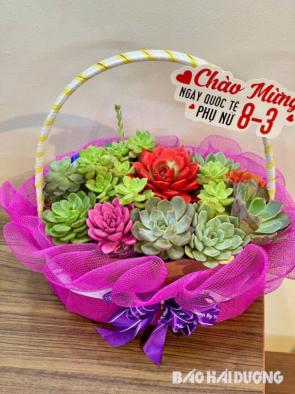 Các giỏ, chậu sen đá phổ biến với mức giá từ 200.000 – 450.000 đồng tùy vào giống hoa, mẫu mã và nhu cầu của khách hàng