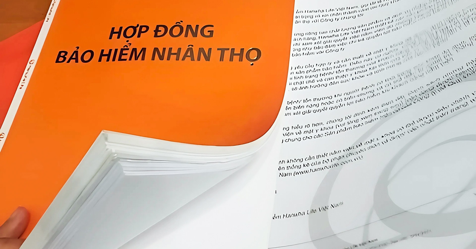 bao-hiem.jpeg