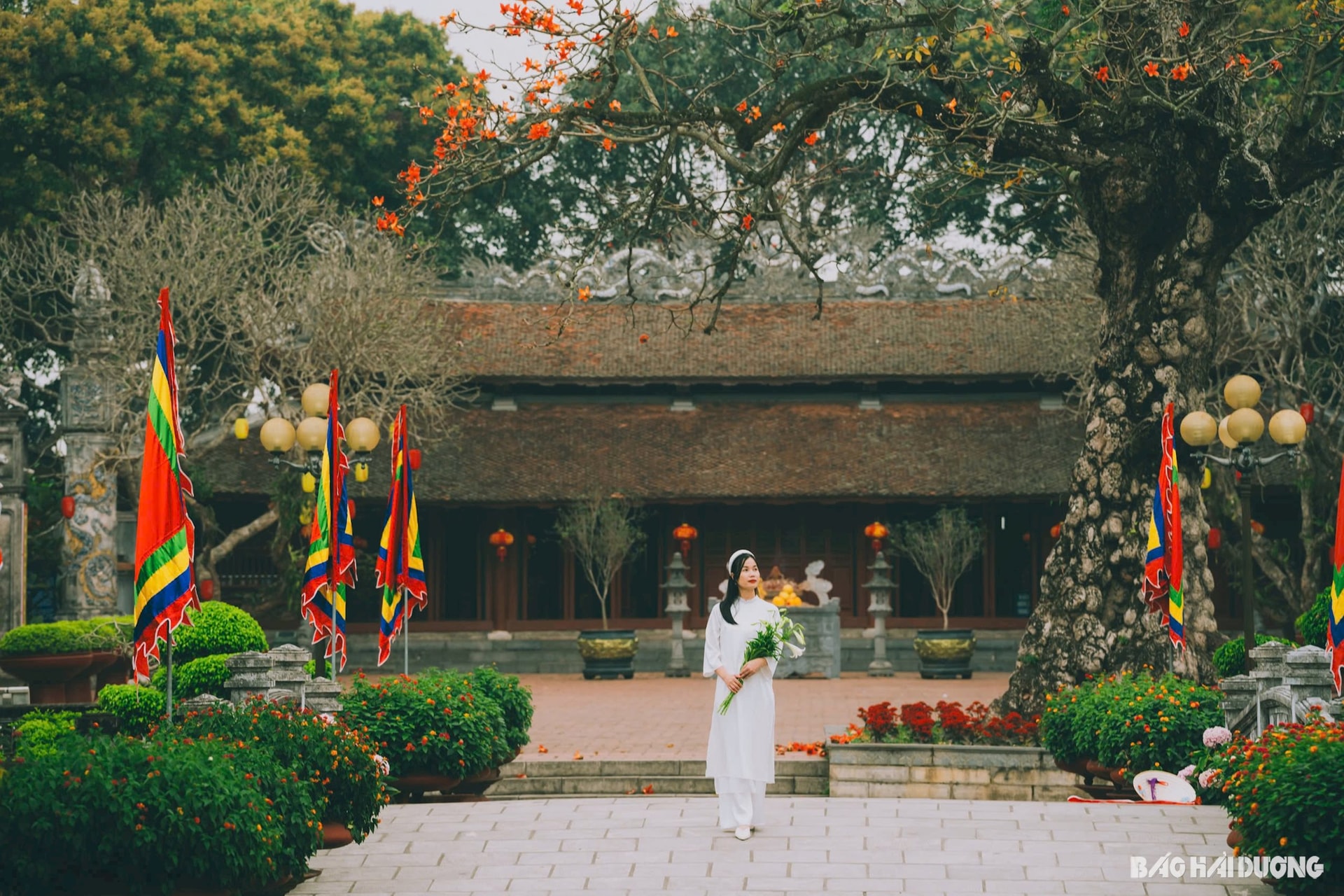 nguyen-thanh-thanh-van-mieu(1).jpg