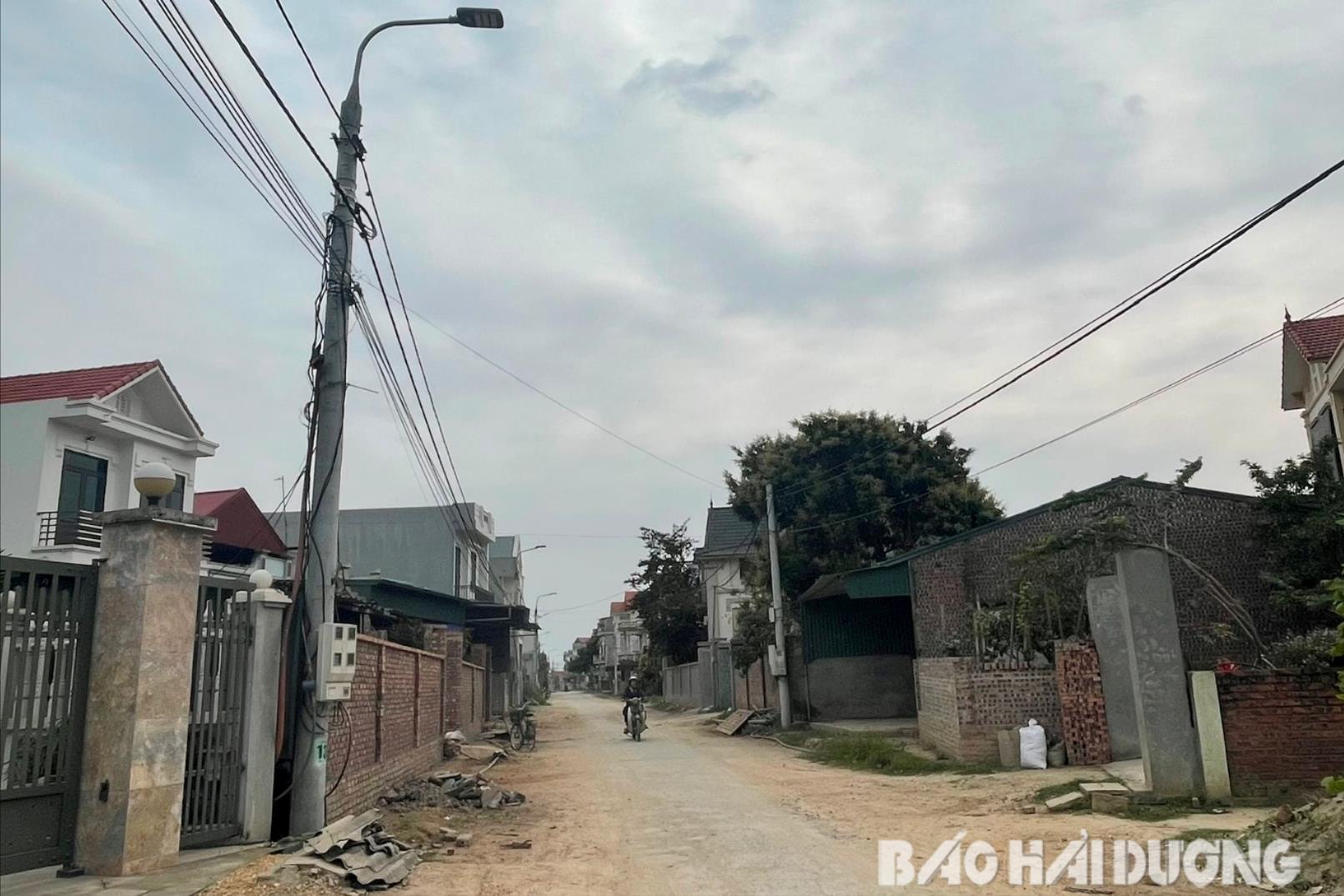 dien-dong-ngo1(1).jpg