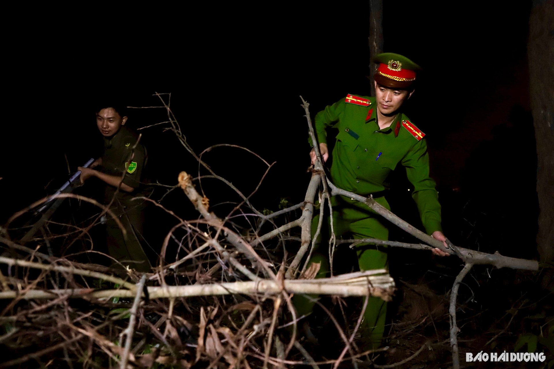 thu-gom-cay-rung.jpg