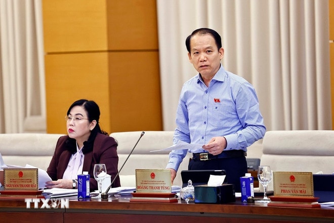 ttxvn-hoang-thanh-tung.jpg