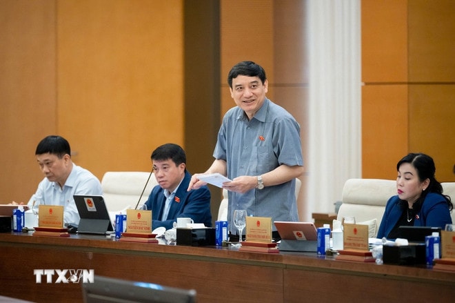 ttxvn-nguyen-dac-vinh.jpg