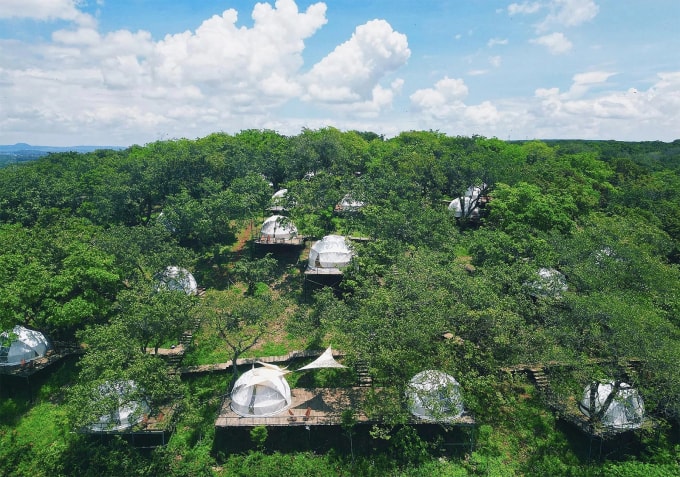 Tropical eglamping nhìn từ trên cao. Ảnh: Khu nghỉ