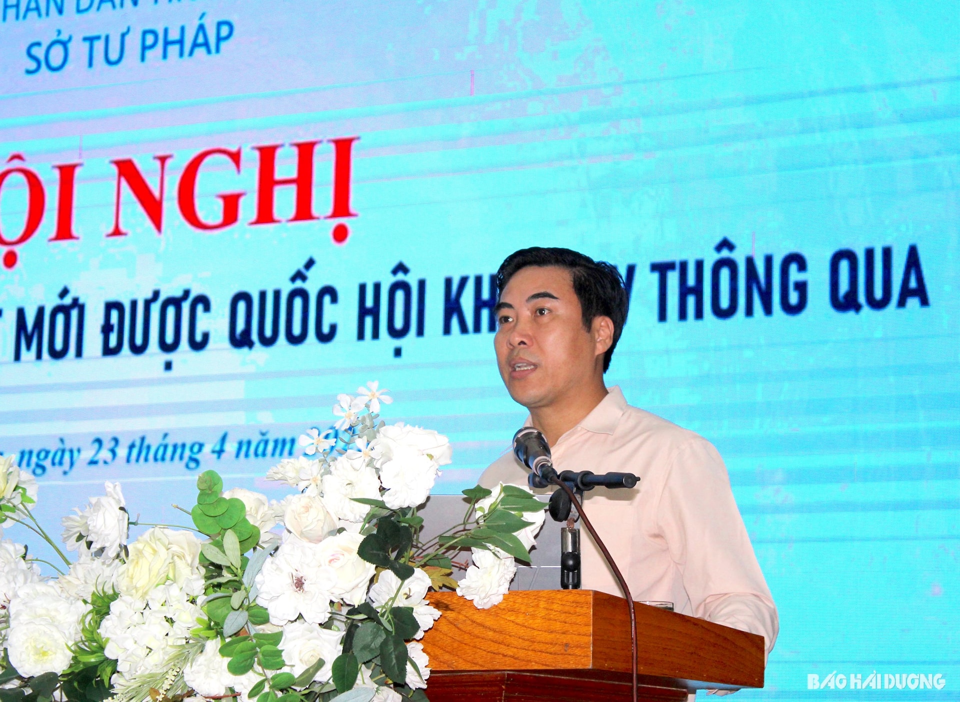 hoang-anh-phong.jpg