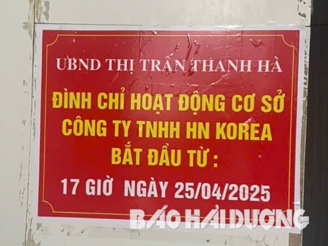 dinh-chi.jpg
