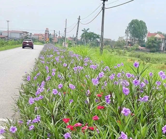 duong-hoa-quyet-thang-754e5f993b5cc60f59963cb46f3b43c3.jpg