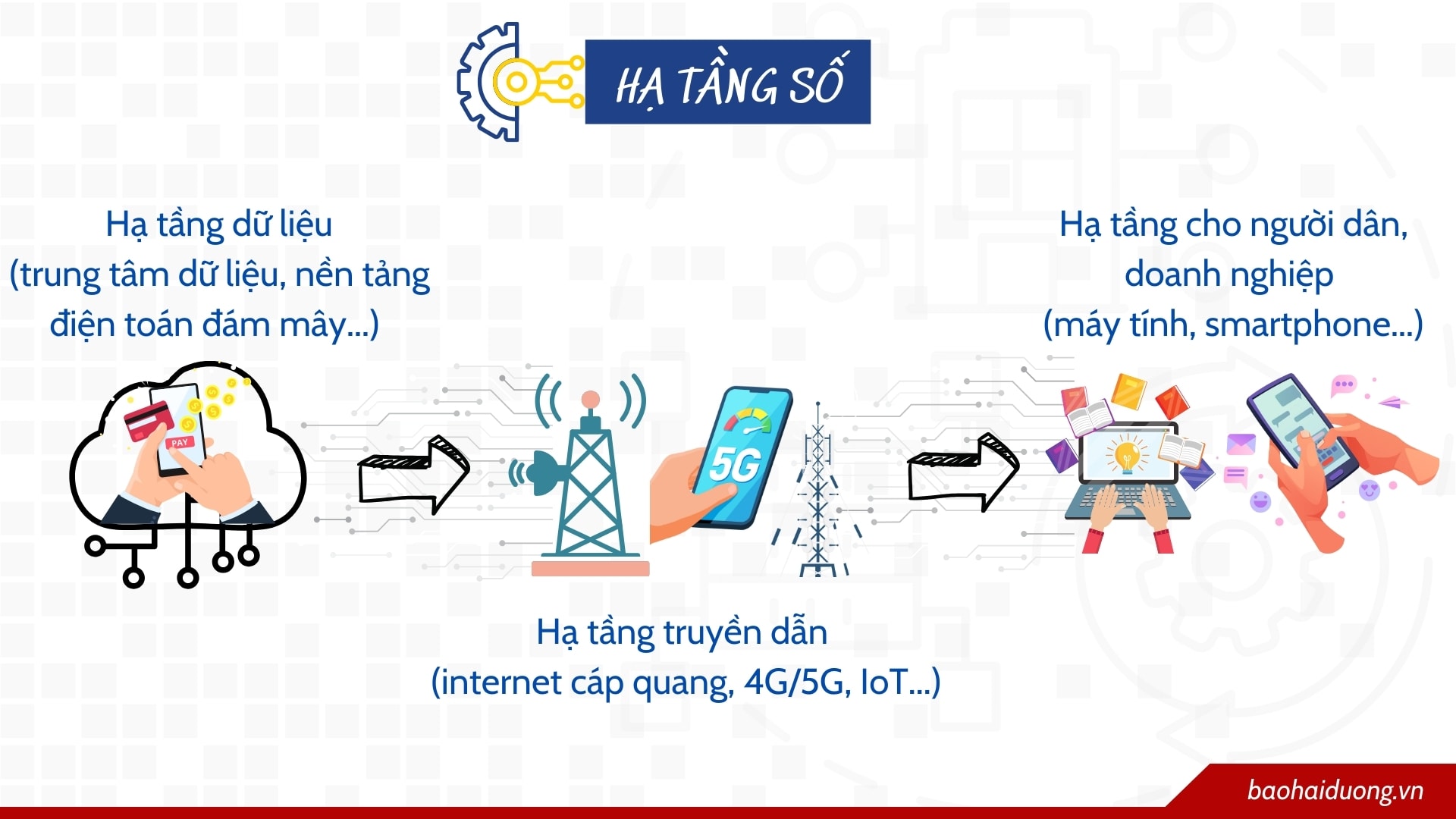 ha-tang-so-2.jpg