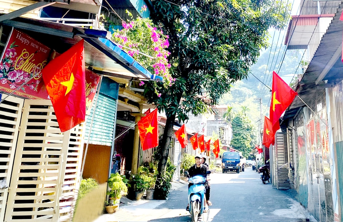 treo-co-to-quoc1.jpg