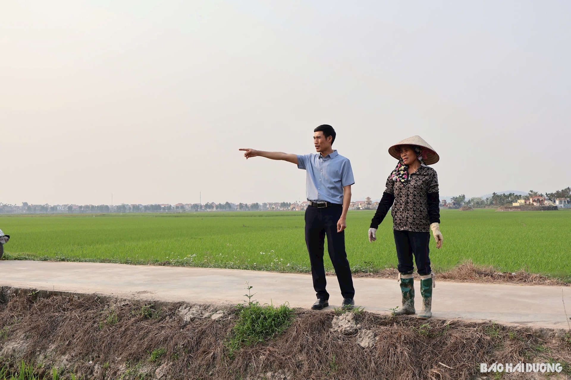 Khu vực thực hiện Dự án Trung tâm dịch vụ logistics, cảng xăng dầu và hàng hóa, kho xăng dầu, khu dịch vụ thương mại tại xã Minh Hòa 