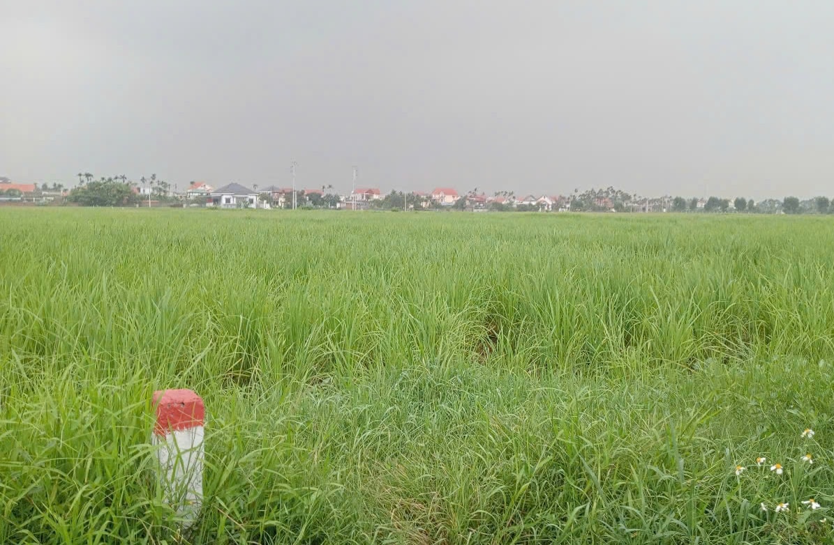ស្ពាន-គម្រោង.jpg