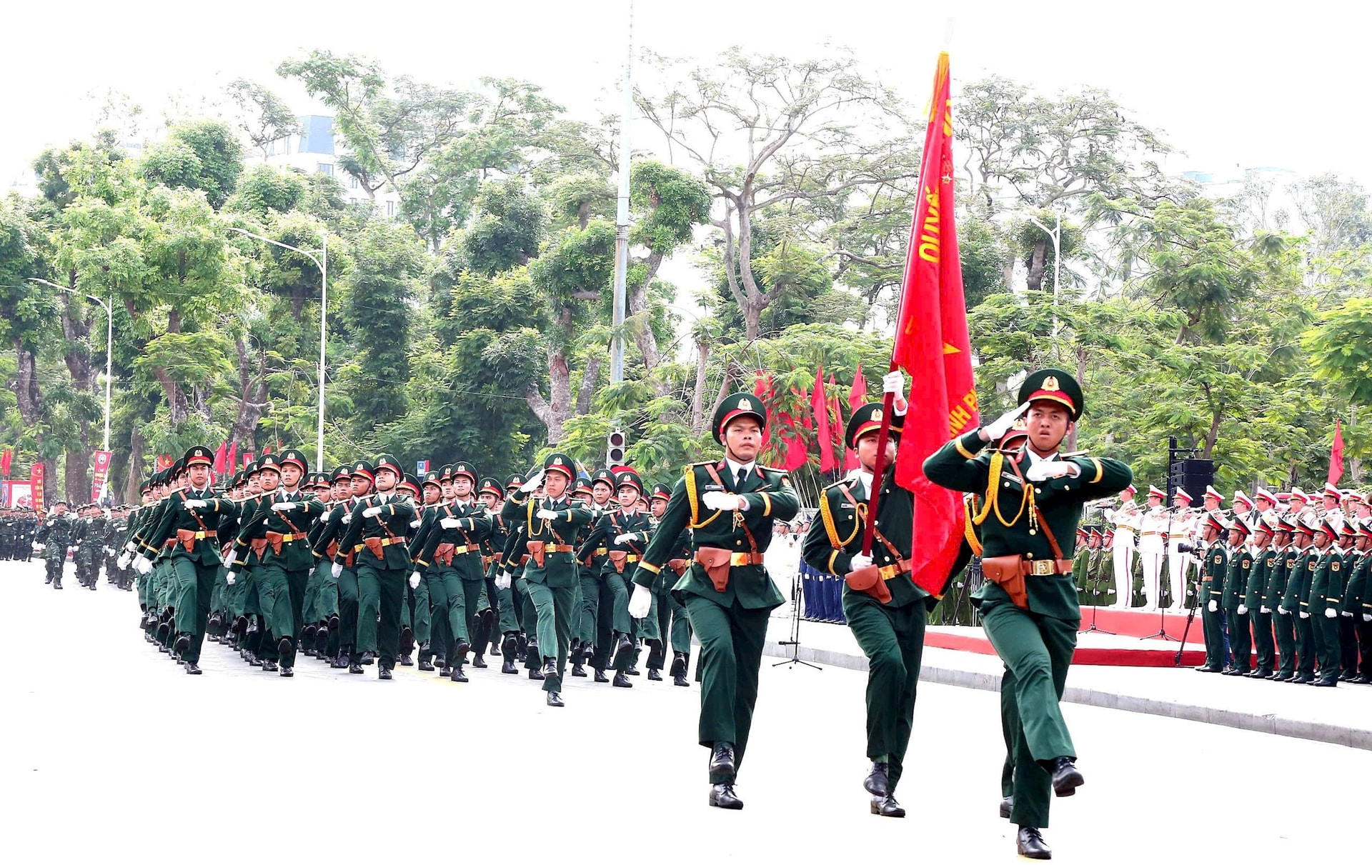 hoa-phuong-do.jpg