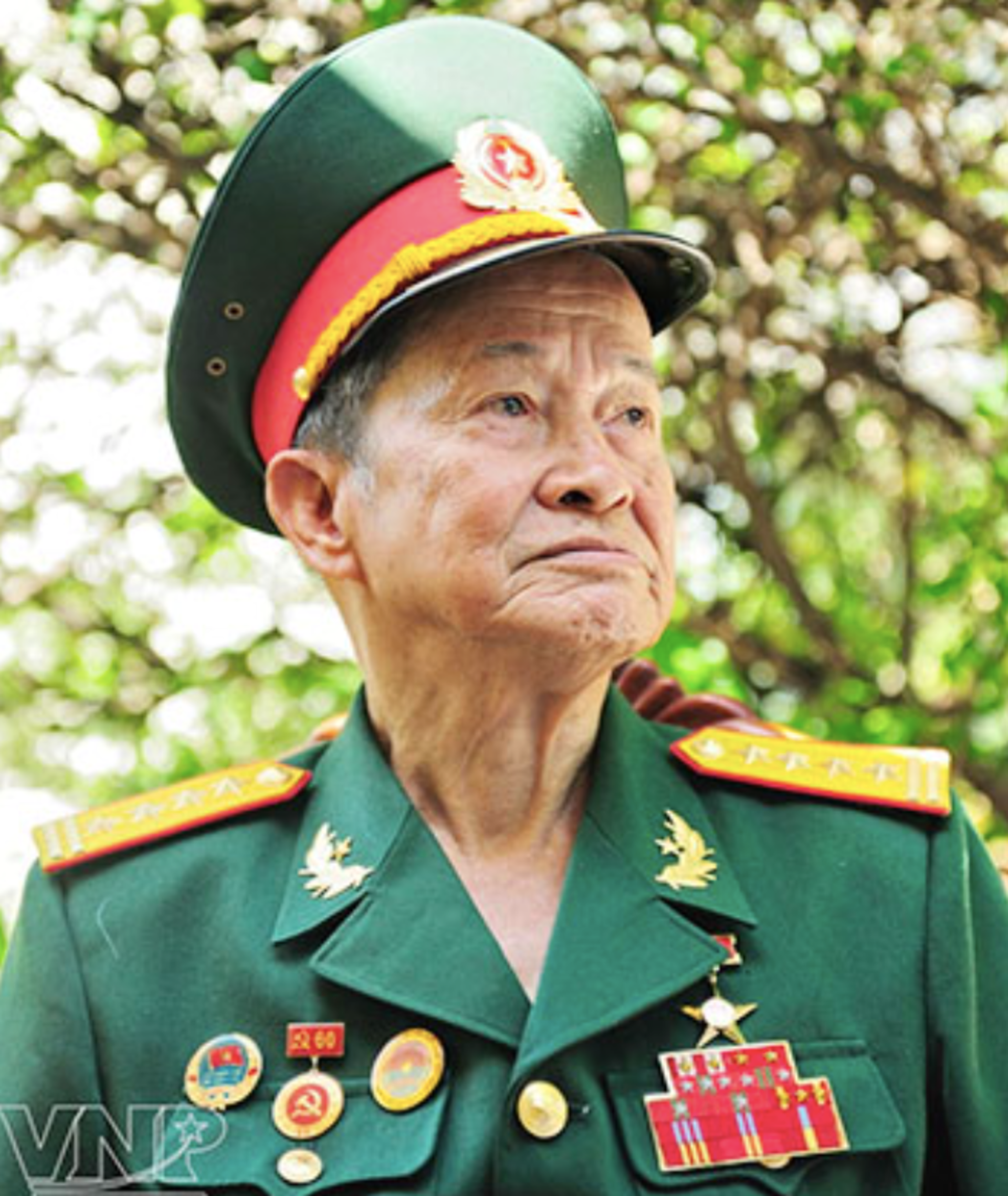 Đến năm nay (2025), ông Tư Cang 97 tuổi, vợ ông vì tuổi già sức yếu đã qua đời năm 2020.