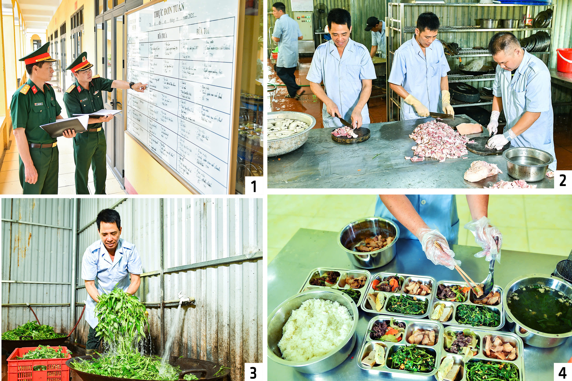 hau-can-che-bien-thuc-an.png