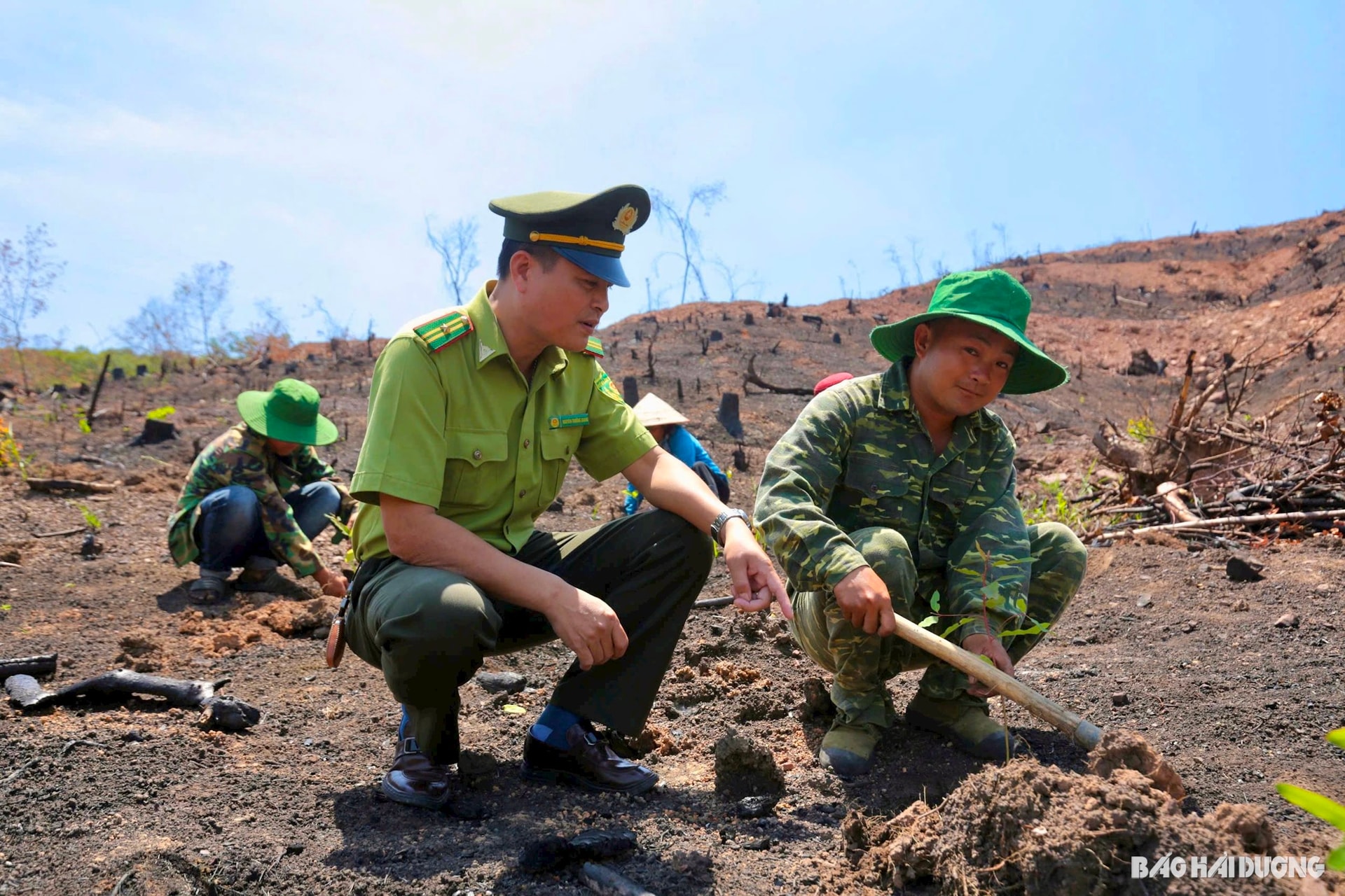 kiem-lam.jpg