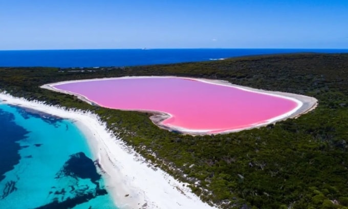 Hồ Hillier ở Tây Australia. Ảnh: New Scientist