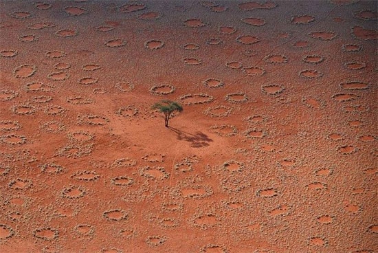 sa-mac-namib-vong-tron-bi-an.jpg
