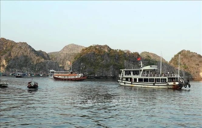 Cruises in Cat Ba Archipelago, a UNESCO World Natural Heritage Site (Photo: VNA)