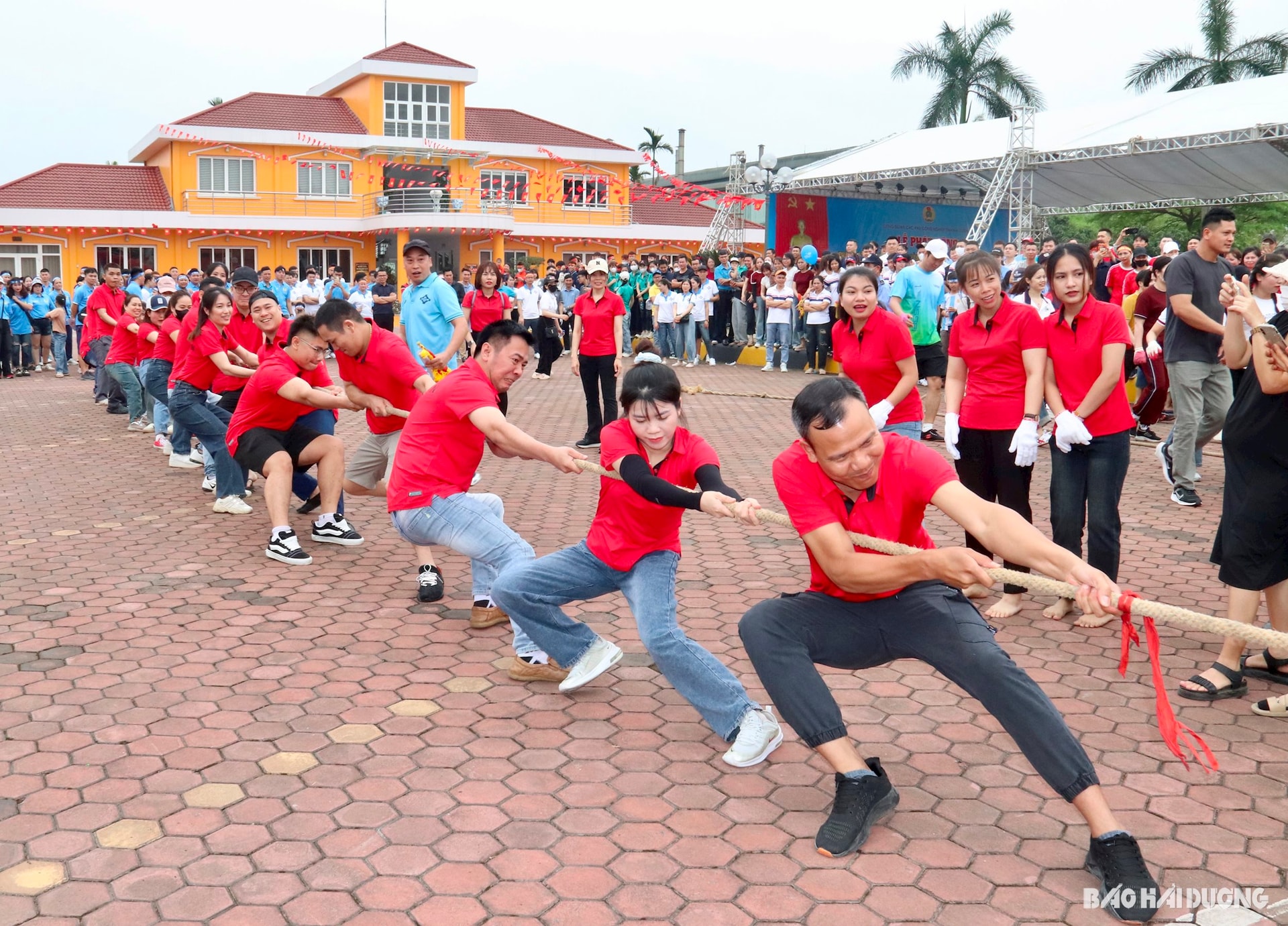 workers-in-hai-duong.jpeg
