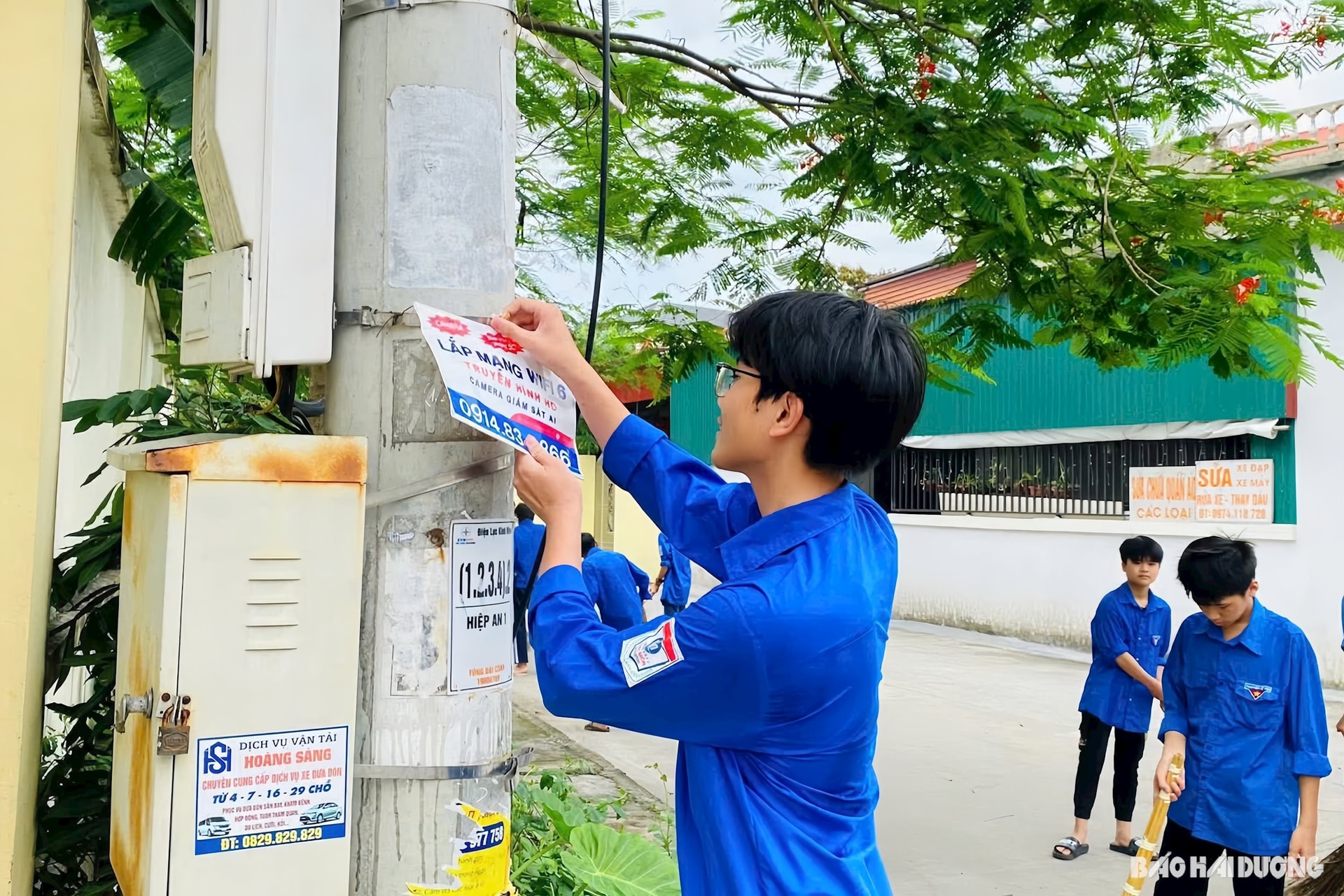 chu-nhat-xanh1.jpg