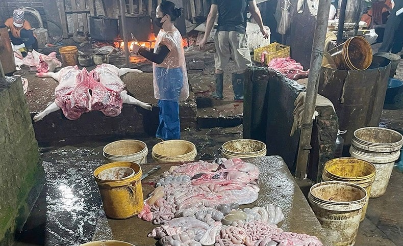 Hà Nam phát hiện cơ sở giết mổ gần 3 tấn thịt lợn dương tính với virus dịch tả lợn châu Phi ảnh 1