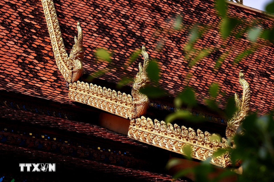 Các gò mái có thần rắn Naga với mào cong vút, tượng trưng cho cầu nối giữa trần gian và cõi Niết bàn. (Ảnh: Hồng Đạt/TTXVN)