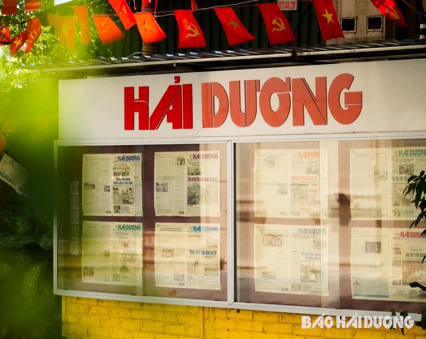 باو-hd.jpg