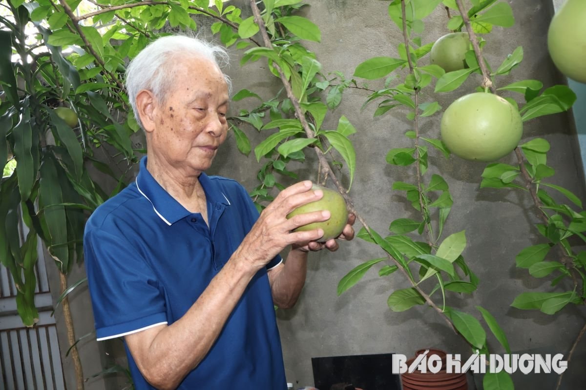 lam-bao-thoi-chien-tranh.jpg