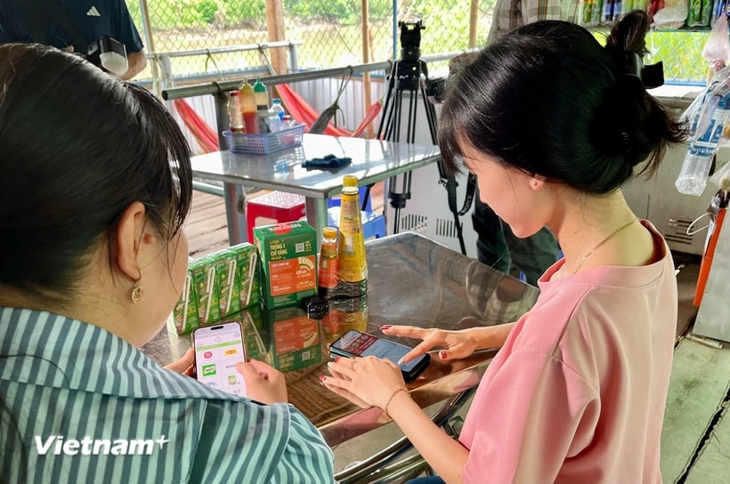 (Ảnh minh họa: Vietnam+)