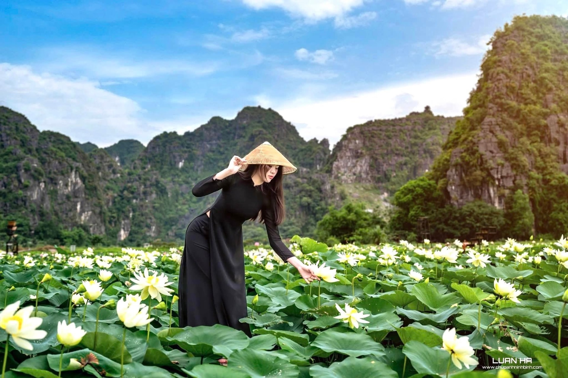 Mùa sen nở rộ dưới núi đá vôi hùng vĩ Ninh Bình - 1